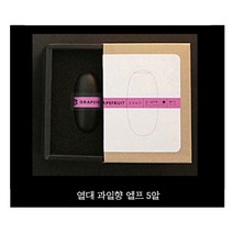 에어포스2 프로펠러 회전 차량 송풍구 방향제 비행기 엔진 인테리어 신차구매 연말 선물 여름 디퓨저 BMW 벤츠 아우디 방향제[00020], 12번 리필엘프