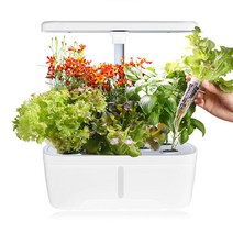 가정용 LED 수경재배기 식물재배기 딸기 채소키우기