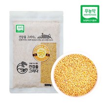 22년산 햇곡 국산 무농약찰기장 500g, 1개