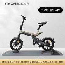 접이식 전기자전거 장거리용 대용량 배달용 출퇴근용 접이식 5 륜 전동자전거, 코코아 티 골드 세트/전체 자동차 + 피트니스 스탠드, 36V