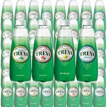 트레비 300ml 플레인 레몬 라임 x 20개 20pet 탄산수, 트레비 자몽 300ml x 40펫