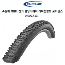 슈발베 자전거 MTB 타이어 레이싱랄프 퍼포먼스 폴딩, 1개