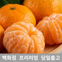 [특등급선별] 감귤 3kg 타이벡감귤 타이백감귤 제주귤 효돈감귤 불로초감귤 노지귤 제주도귤 금귤 노지감귤 조생귤 서귀포감귤 무농약귤 유기농귤 고당도귤 제주노지감귤 금귤정과