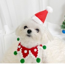 귀여운 크리스마스 강아지 모자 케이프 산타, 산타 모자삔   방울 케이프