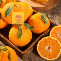 제주감귤5kg(1416과)한라봉초록자연 DE44