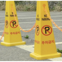 엔비아이엔티 주차금지 표지판 P-01, 3개
