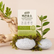 [공식] 뉴오리진 코어리셋 카무트 비건효소 인절미맛(30포), 1개, 90g, 90g