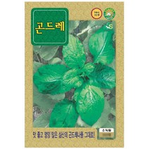 야생나물 씨앗] 곤드레 (고려엉겅퀴) 30g