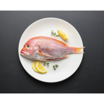 [비린내없는 고급 프리미엄] 삼천포 손질 반건조 꽃돔 2마리 600g 세트, 1팩