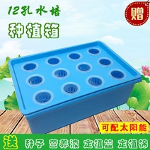 led 씨앗키트 새싹삼 일본슬릿화분 스마트 비닐하우스 모종트레이 시티팜 수경재배기 멀칭비닐 화분갈이흙, 작다, 12홀 태양광 증산소형 수배