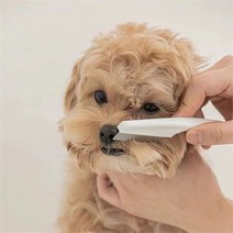 애완 동물 벼룩 진드기 제거제 개 고양이 여러 가지 빛깔의 스테인레스 스틸 컴포트 헤어 손질 빗 보호 벼룩 이가 제거 헤어 클리너 빗, l, 하얀색