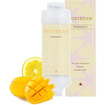 Bodibeam 경수용 비타민 C 샤워 헤드 필터 건강한 피부와 모발을 위한 샤워 필터 염소와 불순물 제거 쉬, 한개옵션0