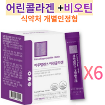 피쉬콜라겐 펩타이드 하루밸런스 어린콜라겐 30포X6통 어린콜라겐 엘라스틴 밸런스 단백질 엘라스틴 비타민C 파우더 먹는 비오틴 보습 에너지 피부 보호 건강 보습 도움 초저분자 추천, 30포, 6개