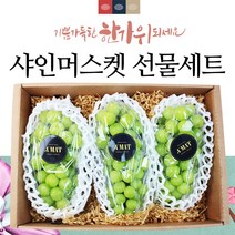 프리미엄 맛있는 샤인머스켓 과일선물세트 박스 4수 3수 2kg, 샤인머스켓선물세트3-4수+보자기랜덤