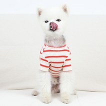 럭키페터 베이직 스트라이프 강아지 티셔츠 5 colors, 오렌지