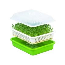 엄마의쇼핑 집에서 새싹보리 키우기 씨앗 재배세트 키트 수경재배, 1세트