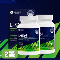 L 류신 WPH WPC BCAA BACC BCA 프로틴 프로테인 근력 운동 헬스 전 후 단백질 보충 추천 동물성 식물성 유청 완두 단백 분말 가수분해 노인 실버 중년 남자 여자