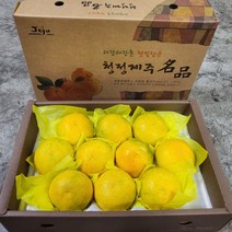 고당도 제주 황금향, 5kg (선물용_특대_8-16과), 1개