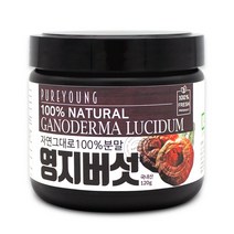 퓨어영 국산 영지버섯 분말 120g 가루 영지버섯차, 1통