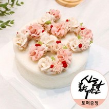 나만의 숫자 앙금케이크2호 쌀100% 떡케익 생일 기념일 선물용, 단품, 단품