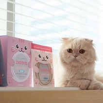 [캣츠모리](유통기한23.11.29)캣츠모리 고양이 덴탈껌 와이어츄 닭고기맛 1box, 상세 설명 참조, 상세 설명 참조