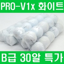 타이틀리스트pro v1x 로스트볼 연습용 B급 30알, 01. pro v1x 4피스 B급 30알