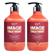 위스티 이미지 극손상 헤어트리트먼트 샤이블라썸 500ml, 2개