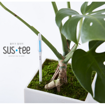 서스티 SUSTEE 식물물주기 알리미 수분측정기 가정용식물재배기 반려 거실화초, 그린, 라지