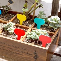 텃밭 식물 화분 이름표 100P/ 식물이름푯말 꽃병 장식 식물푯말 회사가든, 소형100개