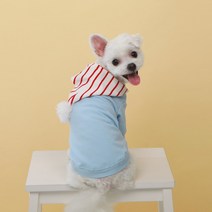 쁘띠도그 DT035 산타후드티, 블루