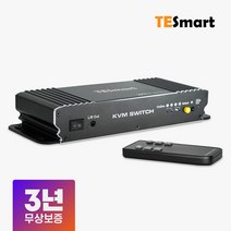 [rgbusb선택기] 넥스트 VGA RGB UTP 리피터 거리연장기 100m, NEXT-N100VE, 1개