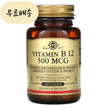 Solgar 솔가 시아노코발라민 비타민B군 비타민 B12 500mcg 100정 타블릿 칼슘, 1개, 100개