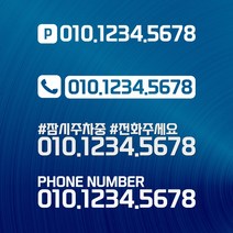중형20cm 대형30cm 전화번호 스티커 화물차 캠핑카 카라반 Ver-01, 중형, DS05, 01무광화이트