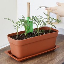 작은 모종 상추 키우기 사각 테라스 화분 M 홈가드닝, 다크브라운
