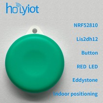 Holyiot가속도계 센서 nRF52810 비콘 태그 BLE 5.0 블루투스 저전력 소비 모듈 eddystone ibeacon, [02] ibeacon