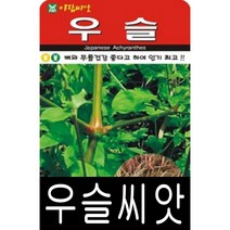 [워터트리몰] 우슬씨앗(350g통) 채소 꽃 종자 재배 씨앗 허브 (A)