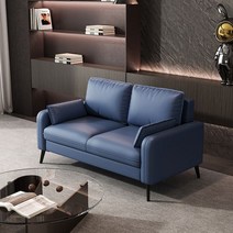 헤이바이 작은 거실 미니멀 쇼파 2인용 3인 북유럽 호텔 푹신한 가성비 선물, N