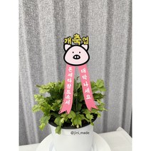축개업 오픈축하 돼지 화환토퍼 번창 대박 생일 축하 기념일 이벤트토퍼 주문제작