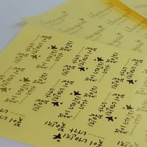 메종 4장 금박 레터링 투명스티커 / 레터링 선택가능