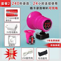 방송음향기기 12V24V노점 장사 자동차 호객소리 차량용 확성기 야외 녹음 물건파는 스피커, T09-충전식 35W확성기 세트 3000배터리220V-