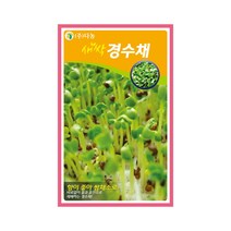 (DN) 새싹 경수채 씨앗(30g)