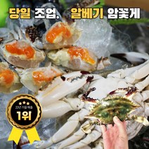 생마안동참마 마제철 생마 안동마 2kg 5kg, 알뜰 2kg