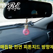 피톤치드 차량용 방향제 디퓨저, 1개입