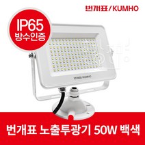 번개표 LED 투광기 50W 백색 IP65 방수, 1개, 주광색