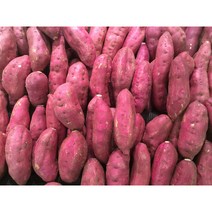 22년 수확 황토 무안 스테비아 꿀고구마 한입 3kg 5kg 10kg, 한입10kg