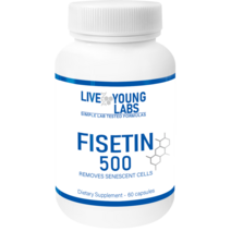 리브영랩스 피세틴 순도 99% 500mg 60캡슐