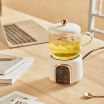 홍삼만들기 경옥고만들기 약탕기 600ml 전기 주전자 휴대용 스튜 컵 건강 보존 냄비 삶은 물 차 난방 사무, 06 D white_02 UK