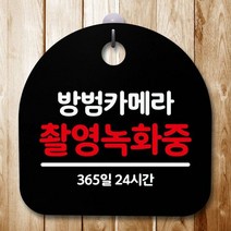 LEN877288안내판 표지판 간판 푯말 팻말 S5-551-방범카메라 촬영녹화(B), 화이트