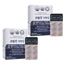 관절강 기억강 관절건강 무릎영양제 은행잎추출물 강황추출물 기억력개선 비타민D 아연 셀렌 마그네슘 관절영양제, 관절강 기억강_2세트