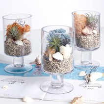공기정화 천연 가습 DIY 테라리움 틸란드시아 이오난사 스칸디아모스, 레드, 일자스탠드 DIY